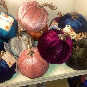 Fall Decor Home Decor Velvet Pumpkins
